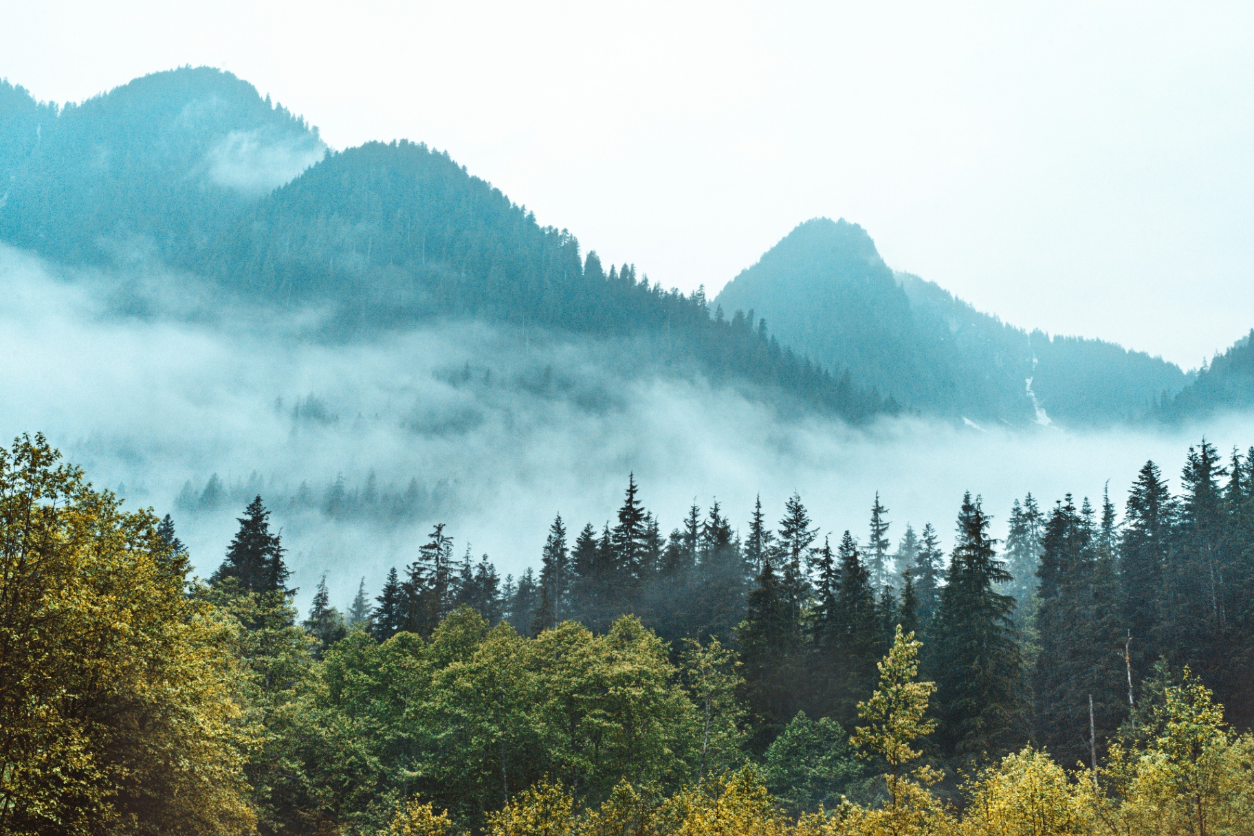 Mist over the North Shore mountains above Lynn Valley, North Vancouver